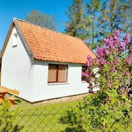 Wichura Giżycko
